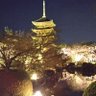 えいかんB's profile picture