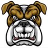 Gdog Sports's profile picture