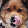 Hajime's profile picture