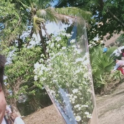 MKคอนหวัน's profile picture