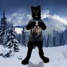 🌻🐾🐺DumarsiDuLaQuay🐺🐾🌻's profile picture