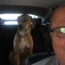 Gus Roumanos's profile picture