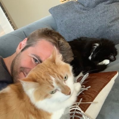 rainygay's profile picture