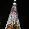 なぽりん 的头像