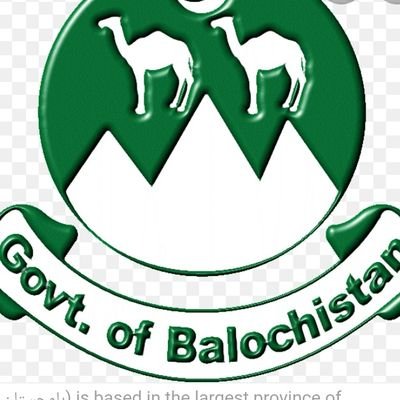 wddbalochistan's profile picture
