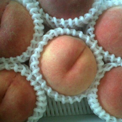 melocoton 🍑's profile picture