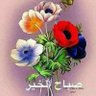 Howieda Sobhy profil fotoğrafı