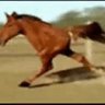 Dr Two Legs's profile picture