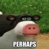 pp poo poo man🔞🔞🔞 profil fotoğrafı