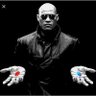 Morpheus's profile picture