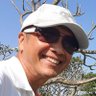 octo tan's profile picture
