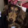み🐾໊'s profile picture