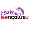 Profilbild von Peak Bengaluru