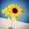 めぐ🌻's profile picture