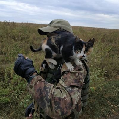 Falcon's profile picture