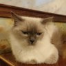 minase profil fotoğrafı