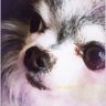 ちあ\(・×・)/あっぷ's profile picture