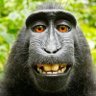 Hugh "StarStudmuffin" Clayton's profile picture