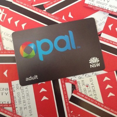 The Opal Card User's profile picture