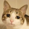 pb5r's profile picture