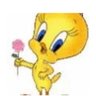 TweetyBird's profile picture
