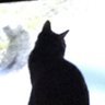 r profil fotoğrafı