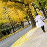 過眠 的头像
