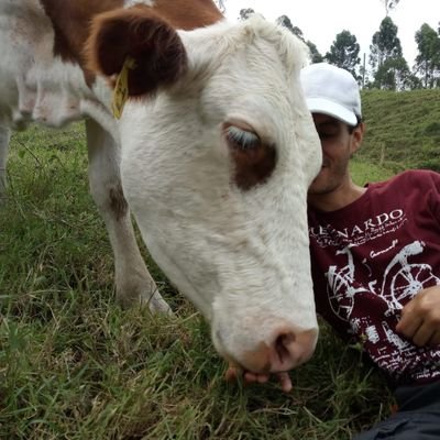 TerryHurtado's profile picture