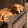 Mary 🕊️✌🏻💐❤️🐶🐾⚖️☮️💙's profile picture