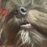 pthandley32's profile picture