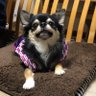 Profilbild von たに