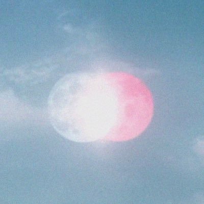 stray kids loops's profile picture
