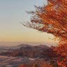 ビビッドブルー profil fotoğrafı