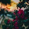 ladylove profil fotoğrafı