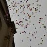 Фото профиля Rosa Maria Panadès Castellà