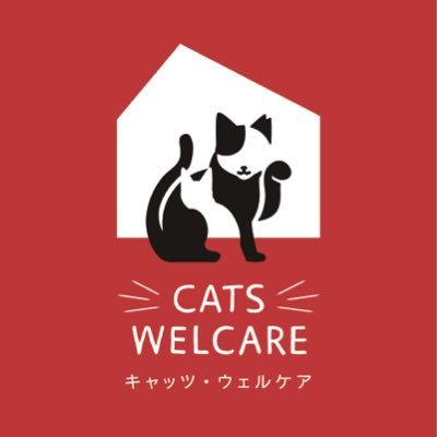 NPO法人CATS WELCARE【猫カフェ/大阪/京セラドーム近く/阿倍野】🐈⬛🐾's profile picture