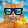 Profilbild von Liberty-Cat - Clowns 2 the left Jokers 2 the right