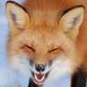Main Page's profile picture