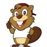 BeaverInvests's profile picture