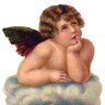 Фото профиля TruthCherub