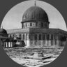 محمد profil fotoğrafı