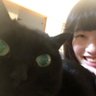 Фото профиля ななちゃん(猫好きサウスポー)