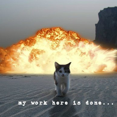 el gato malo's profile picture