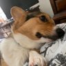 lrprops's profile picture