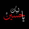 𐎆𐎕𐎀𐎍 🇮🇶's profile picture