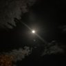 Фото профиля TheLast