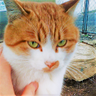 Masato Ida, PhD's profile picture