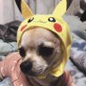Profilbild von まさまさ