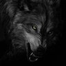 Lobo Diurno profil fotoğrafı