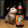яблочный пидр's profile picture